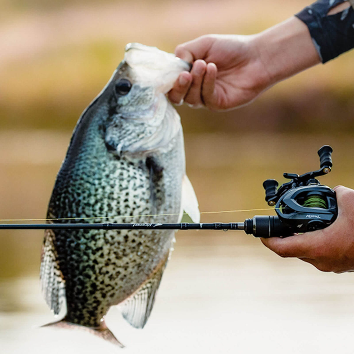KastKing Kestrel Finesse Casting Rod