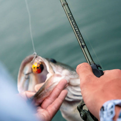 KastKing Spartacus II Twin-Tip Spinning Rods