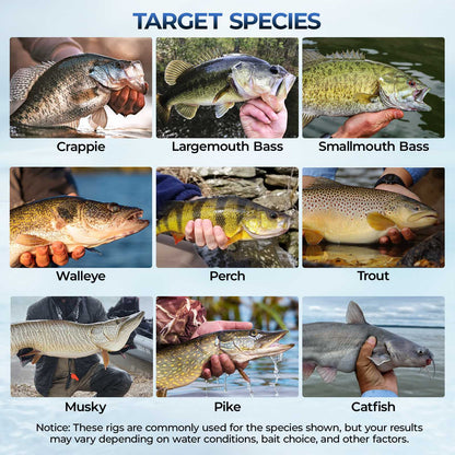 MadBite Freshwater Terminal Tackle Kits