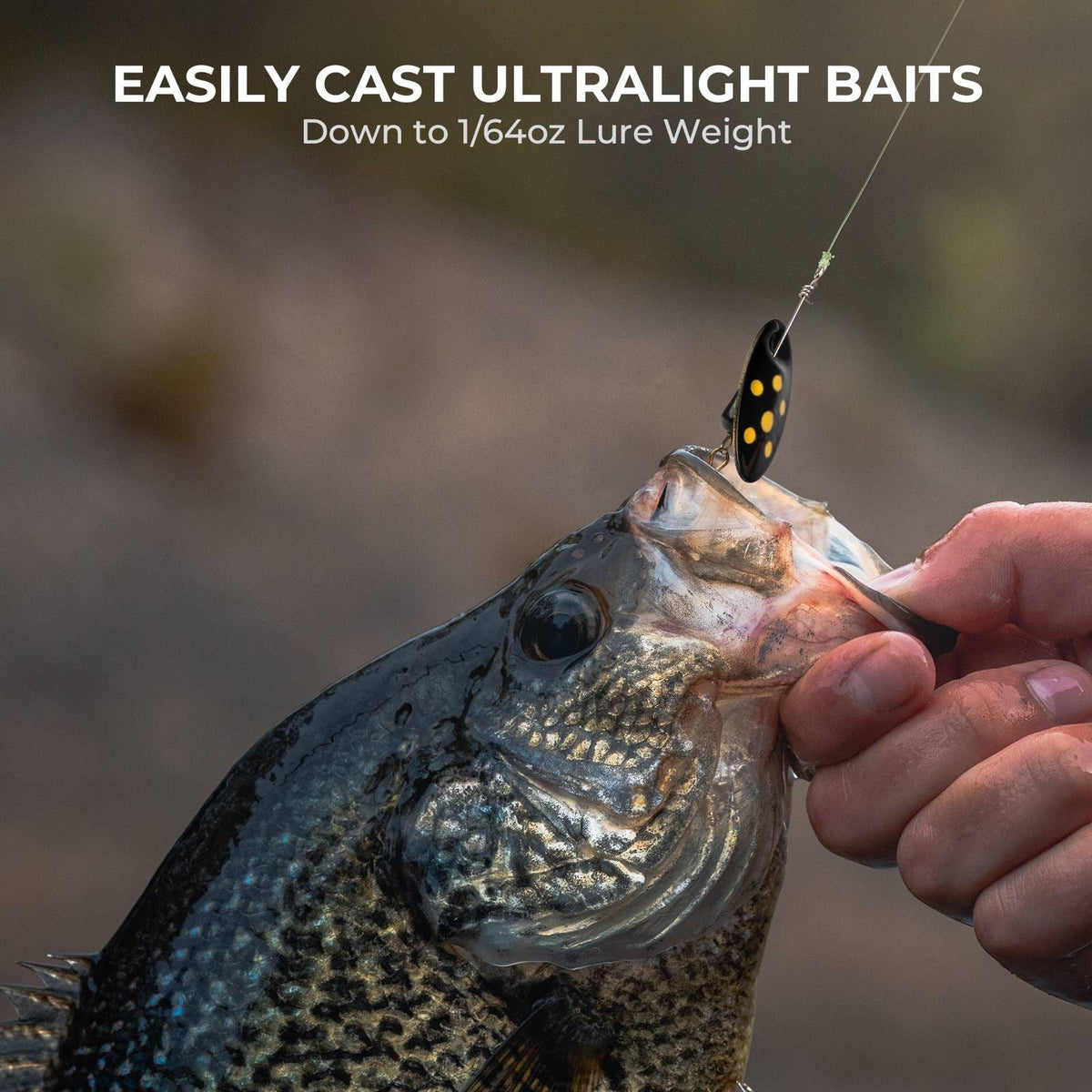 KastKing Zephyr Bait Finesse Twin-Tip Casting Rod